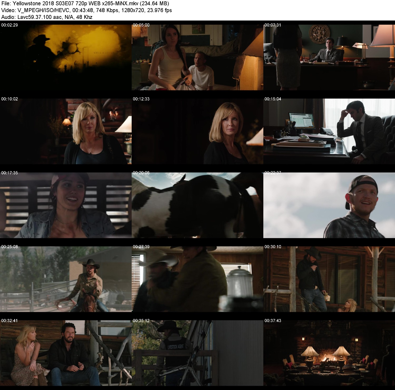 [Image: z0o8ho3qhfi5.jpg]