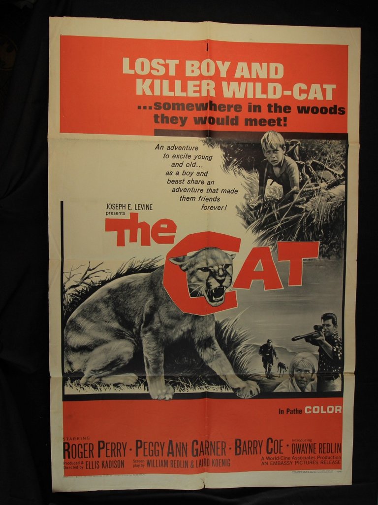 [Image: 5v88ftku1gse.jpg]