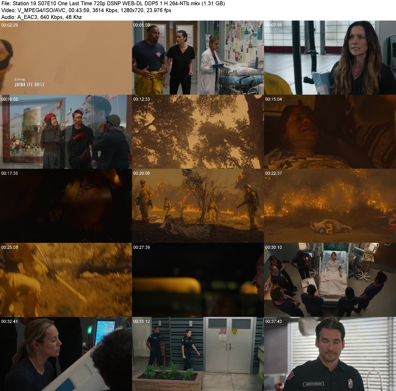 [Image: 07acem3gk8zy.jpg]