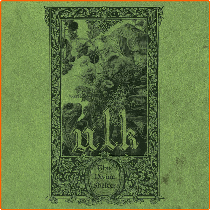 [Image: v0r51xaijky3.png]