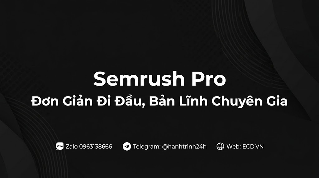 cheap SEO tool