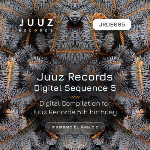 VA - Juuz Records Digital Sequence 5 (2026) MP3