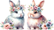 tk-Bunny-Kisses-bunnies4