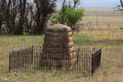 DSC-0096
