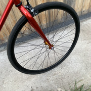 IMG-7028.jpg