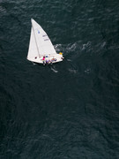 DJI_20240525114037_0091_D