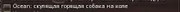 1b.jpg
