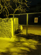 IMG-20201203-190251.jpg