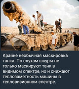 https://i.postimg.cc/hfC0PkhK/photo-2026-06-03-05-02-05.jpg