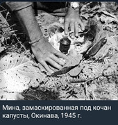https://i.postimg.cc/hfKfN55r/photo-2026-07-25-01-06-37.jpg