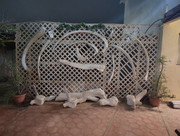 IMG 20251109 060438002 HDR