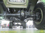 IMG-3681