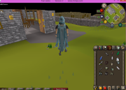 assembler max cape hood