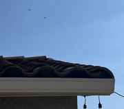 [Image: IMG-5273.jpg]