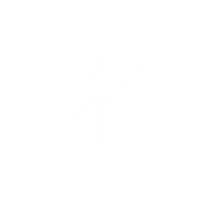 Ice Princess Icon