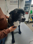 4A74CCF8-5FDF-406A-81B9-3842ED4A4F0B