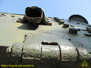 IMG-5619