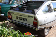 IMG-3946