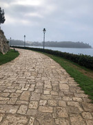 photo_2025-01-31_18-00-09 (2)