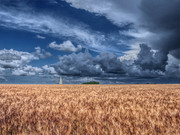 [Image: F081-A91-E-2356-4926-8-CD5-469-F95-AEF658.jpg]