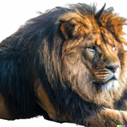 DALL-E-Photo-of-a-realistic-lion-White-background
