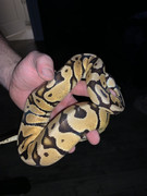 12A8FBBB-FB87-4F62-ACF4-46782DC9D3F5