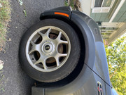 IMG-4099