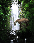 Untitled214_20250529163605