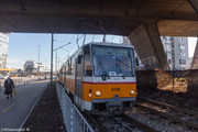 IMG-5245
