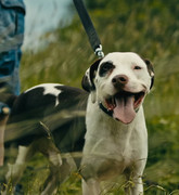 Screenshot_20230621_025909_Gallery