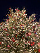 WhatsApp Image 2024-01-07 at 23.37.48