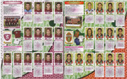 Album-Calciatori-2003-04-Panini-54