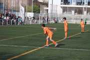 IMG-3799