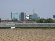 P1020008