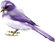 0_14999c_cdab5473_orig