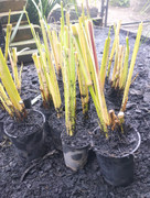 IMG_20221008_125400_Erased