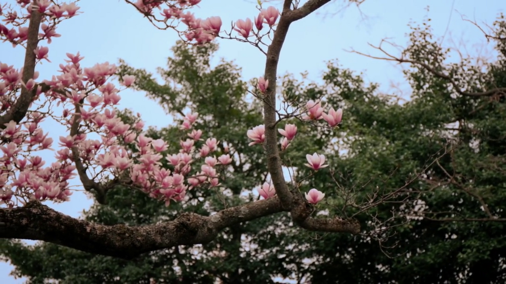 [Image: jj429nvl7iec.png]