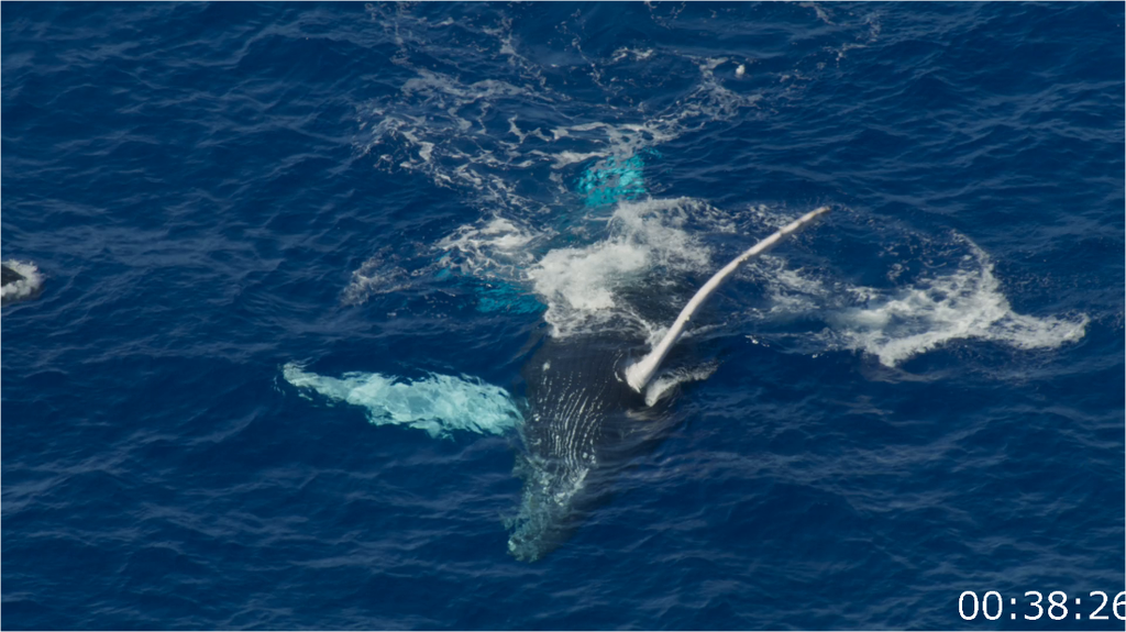 [Image: u8t8h8yuve7i.png]