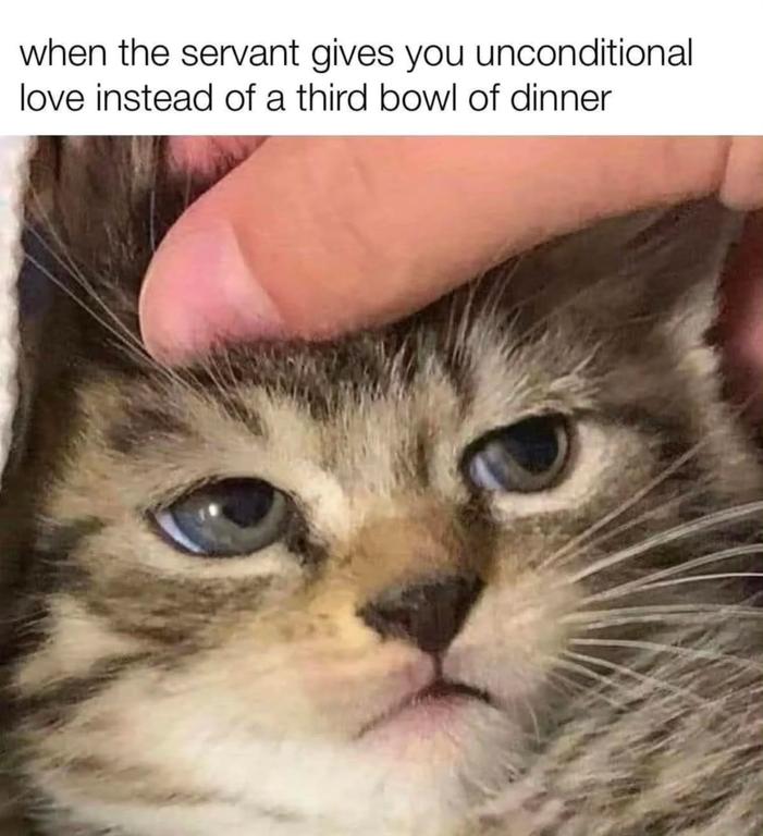 582261235-18192133819328524-9087592153067964571-n