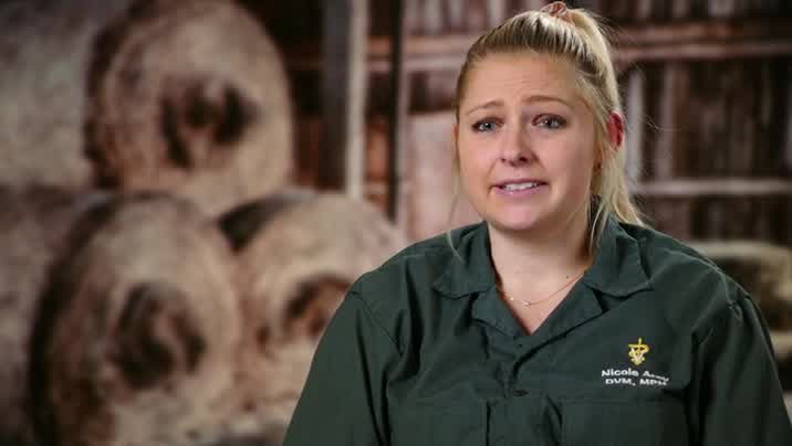 [Image: znib33v66rfh.jpg]