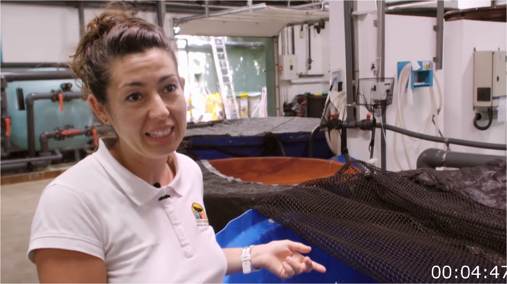 [Image: gm6uijp2ot25.png]