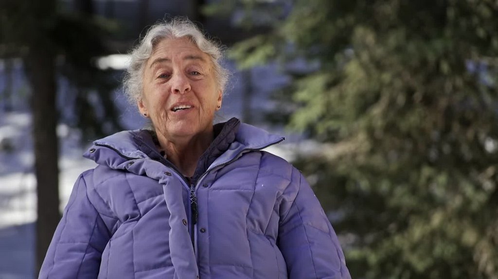 [Image: bp06cvd66bcr.jpg]