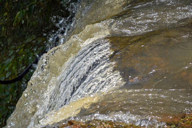 В джазе только девушки или аргентинско-бразильский калейдоскоп В джазе только девушки или аргентинско-бразильский калейдоскоп