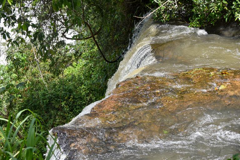 В джазе только девушки или аргентинско-бразильский калейдоскоп В джазе только девушки или аргентинско-бразильский калейдоскоп