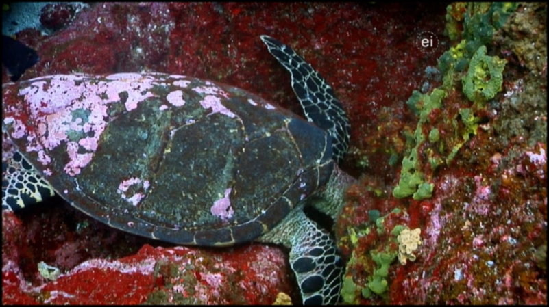 [Image: 8w4jr3fa6tih.png]