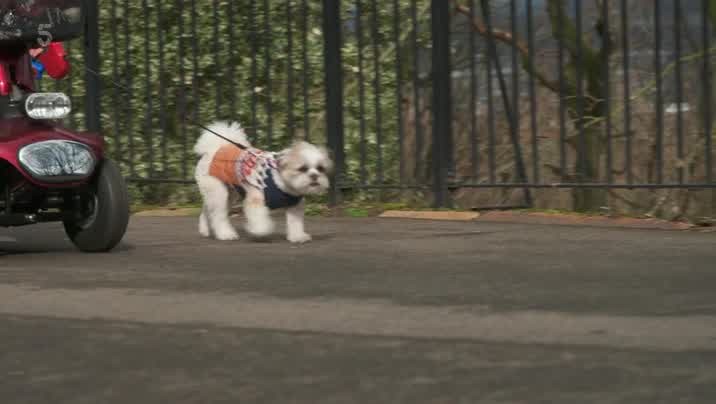 [Image: fd8tehm7ba06.jpg]