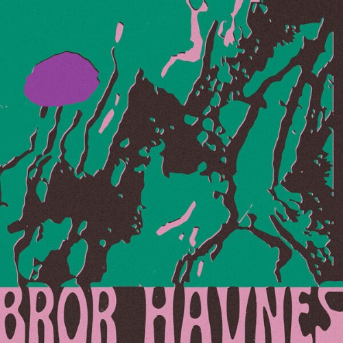 Bror Havnes - De Som Vet (2026)