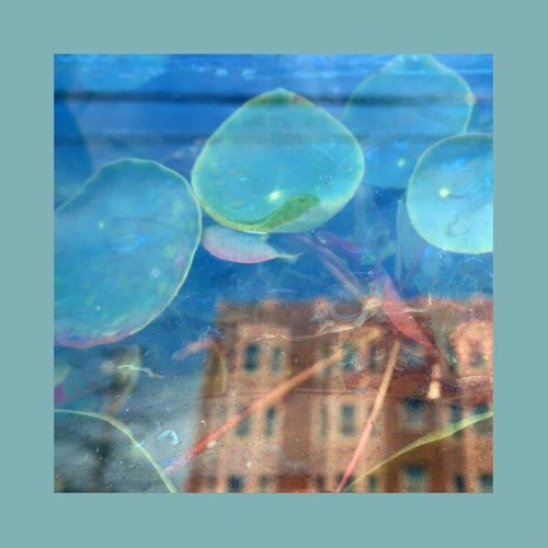 The-Reds-Pinks-and-Purples-Acknowledge-K