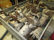 IMG-6239.jpg