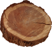 ISmell-Autumn-LL-Element14